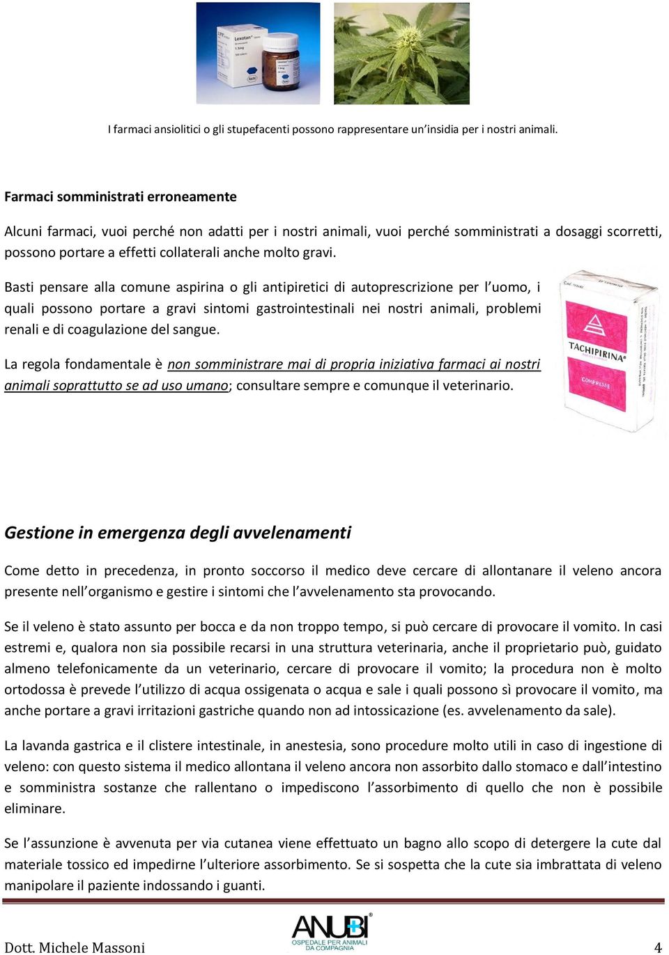 Basti pensare alla comune aspirina o gli antipiretici di autoprescrizione per l uomo, i quali possono portare a gravi sintomi gastrointestinali nei nostri animali, problemi renali e di coagulazione