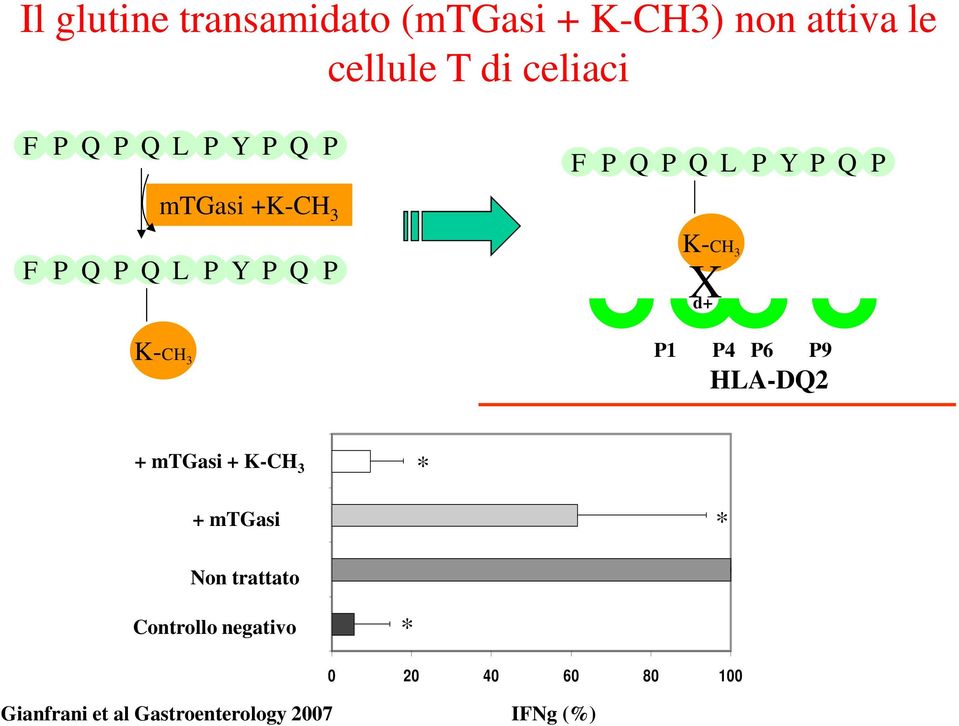 K-CH 3 X d+ P1 P4 P6 P9 HLA-DQ2 + mtgasi + K-CH 3 * + mtgasi * Non trattato