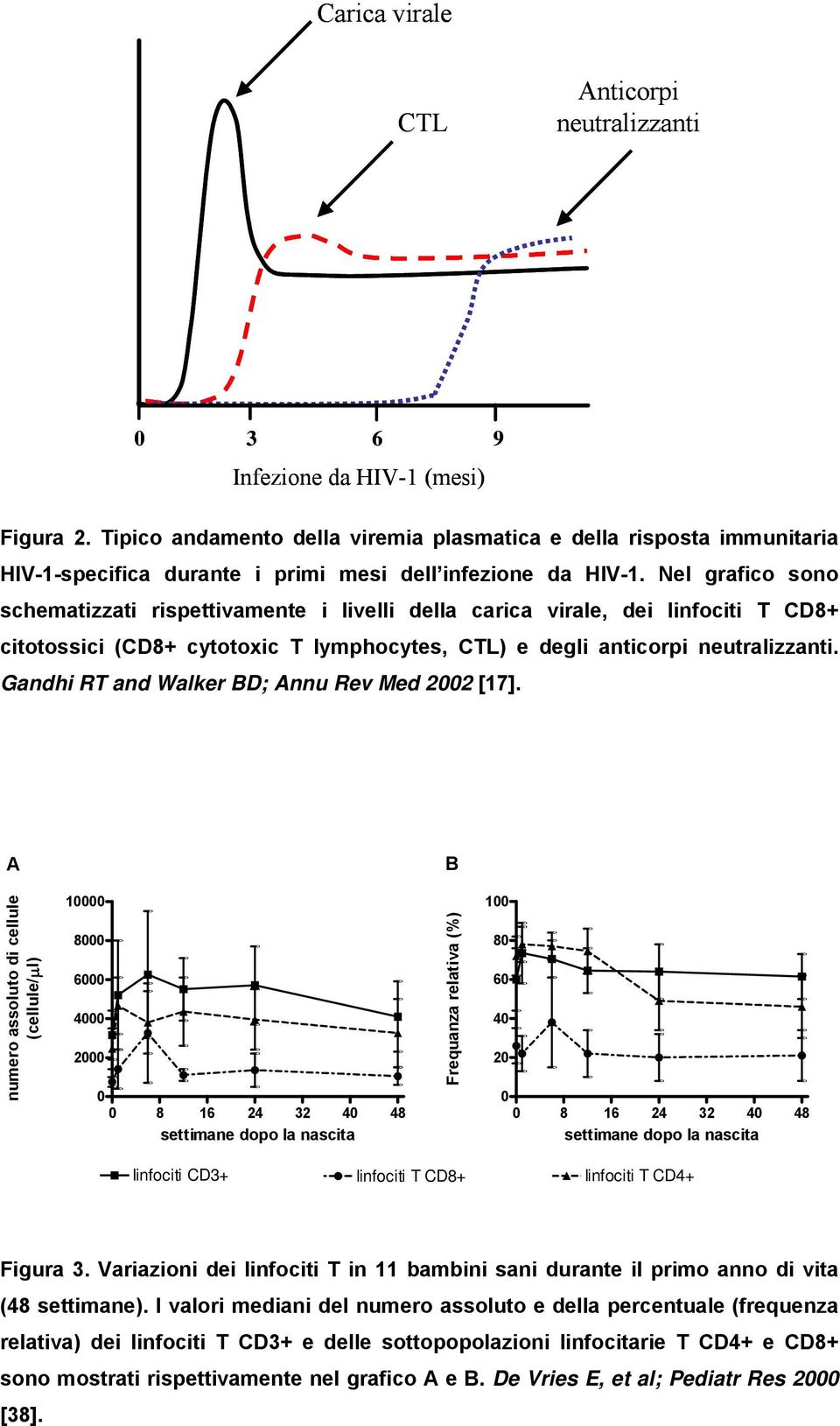 Nel grafico sono schematizzati rispettivamente i livelli della carica virale, dei linfociti T CD8+ citotossici (CD8+ cytotoxic T lymphocytes, CTL) e degli anticorpi neutralizzanti.