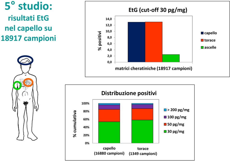 cheratiniche (18917 campioni) Distribuzione positivi 100% 80% 60% 40% 20% > 200