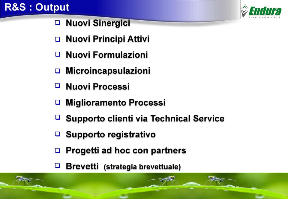 Processi Supporto clienti via Technical Service Supporto