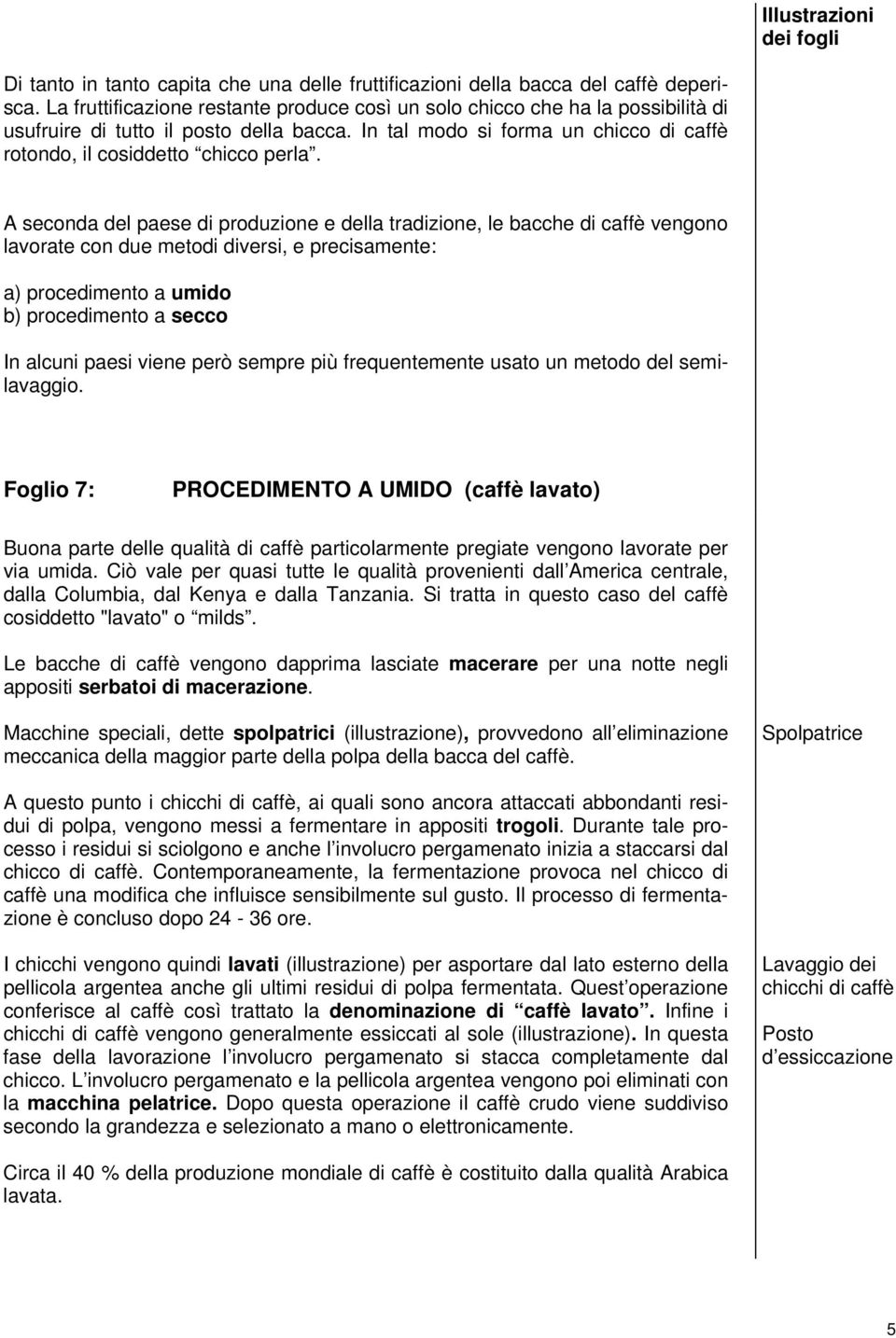 A seconda del paese di produzione e della tradizione, le bacche di caffè vengono lavorate con due metodi diversi, e precisamente: a) procedimento a umido b) procedimento a secco In alcuni paesi viene