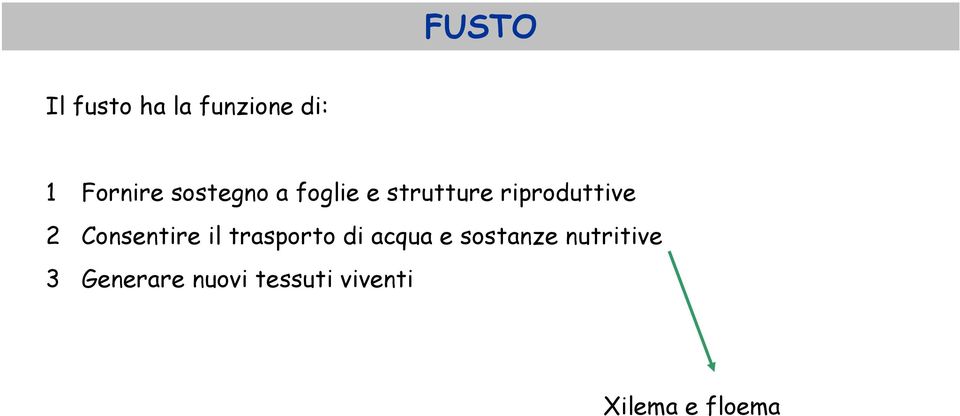 Consentire il trasporto di acqua e sostanze