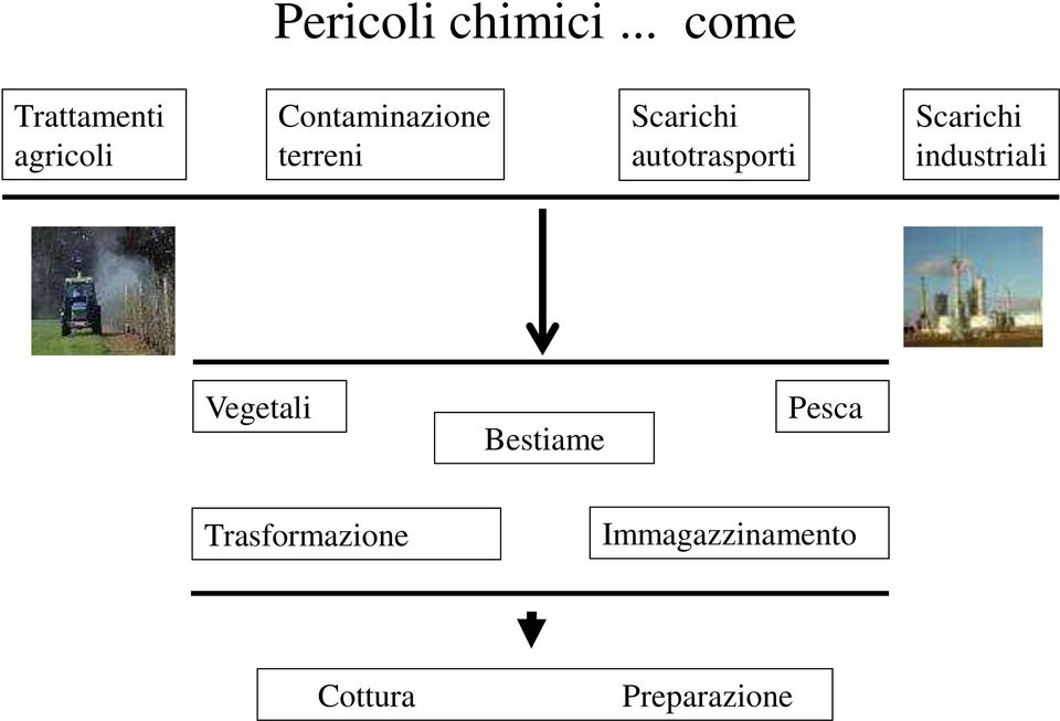 terreni Scarichi autotrasporti Scarichi