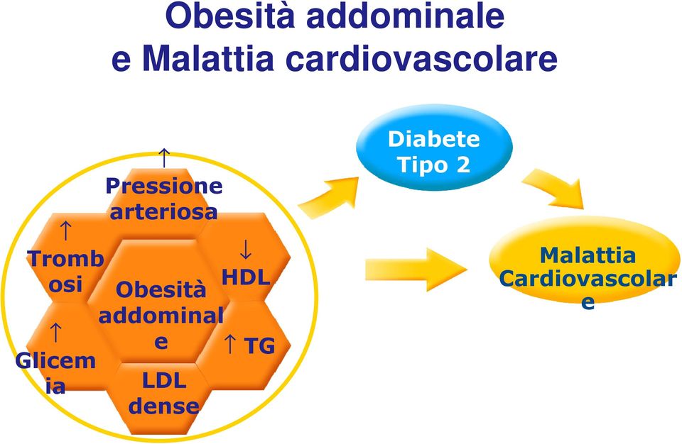 addominal e LDL dense HDL TG Diabete Tipo 2