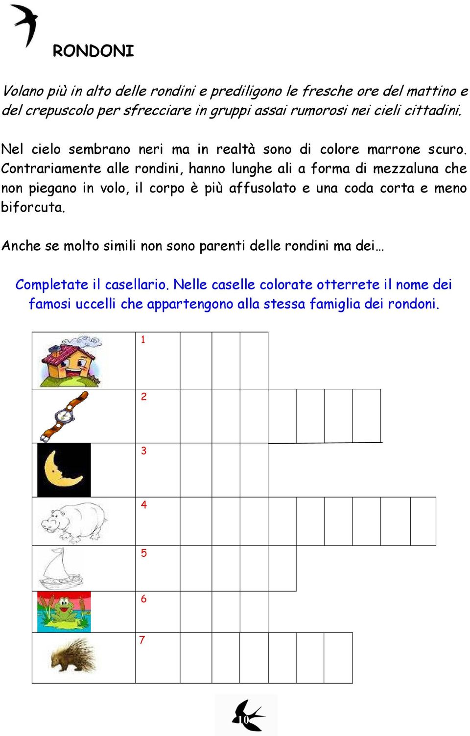 Contrariamente alle rondini, hanno lunghe ali a forma di mezzaluna che non piegano in volo, il corpo è più affusolato e una coda corta e meno