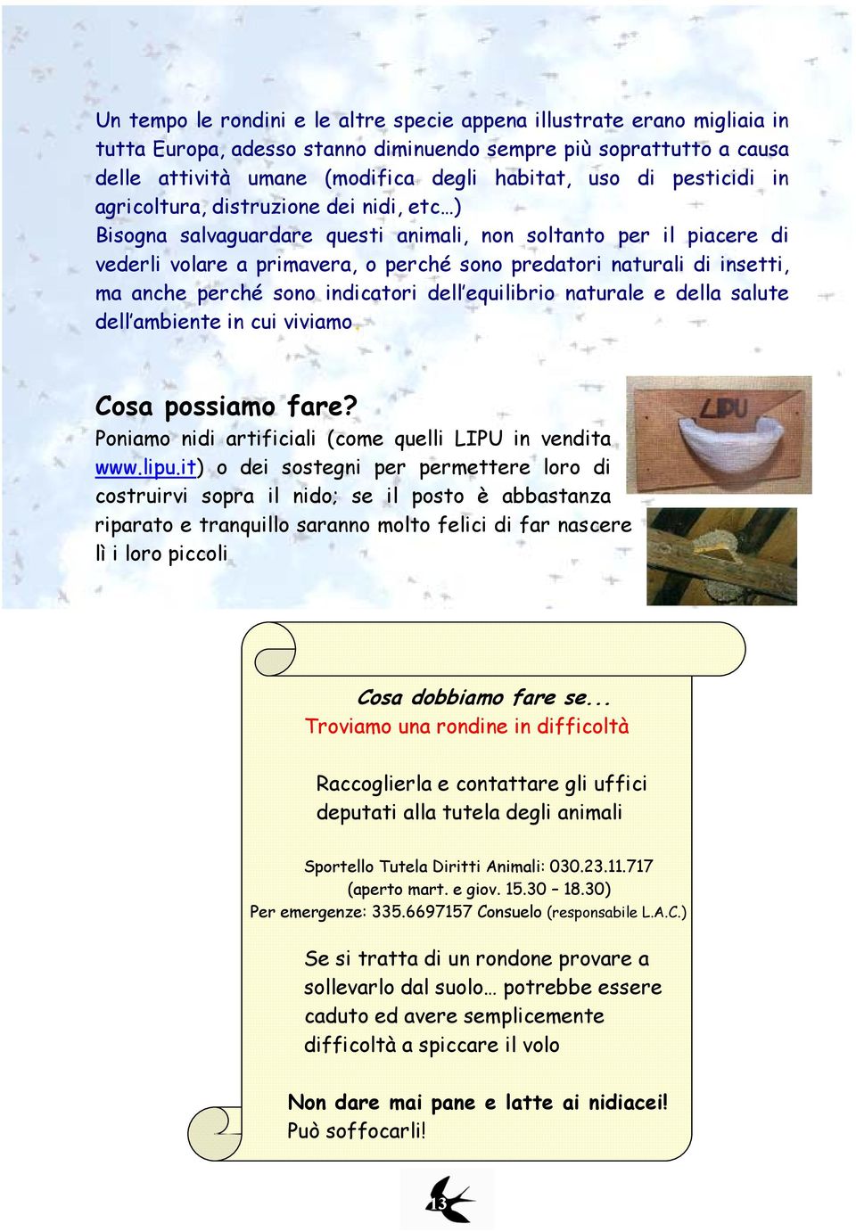 anche perché sono indicatori dell equilibrio naturale e della salute dell ambiente in cui viviamo. Cosa possiamo fare? Poniamo nidi artificiali (come quelli LIPU in vendita www.lipu.