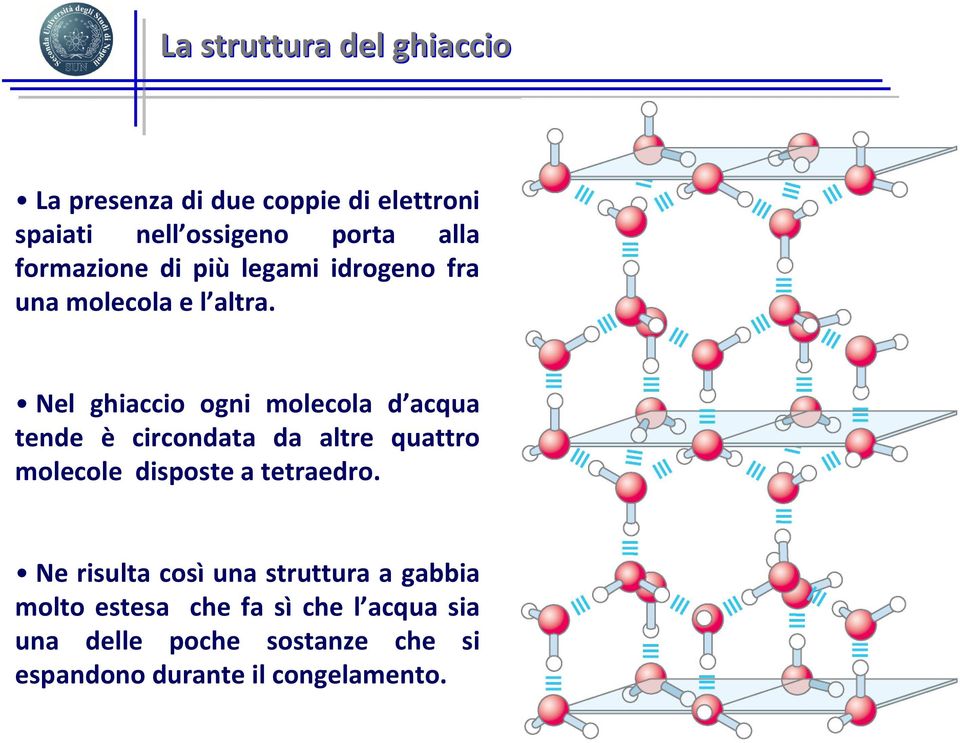 Nel ghiaccio ogni molecola d acqua tende è circondata da altre quattro molecole disposte a tetraedro.
