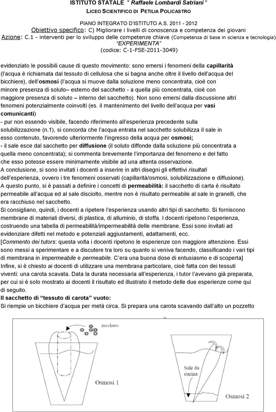 interno del sacchetto). Non sono emersi dalla discussione altri fenomeni potenzialmente coinvolti (es.