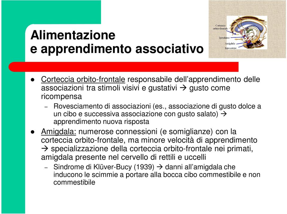 , associazione di gusto dolce a un cibo e successiva associazione con gusto salato) apprendimento nuova risposta Amigdala: numerose connessioni (e somiglianze) con la