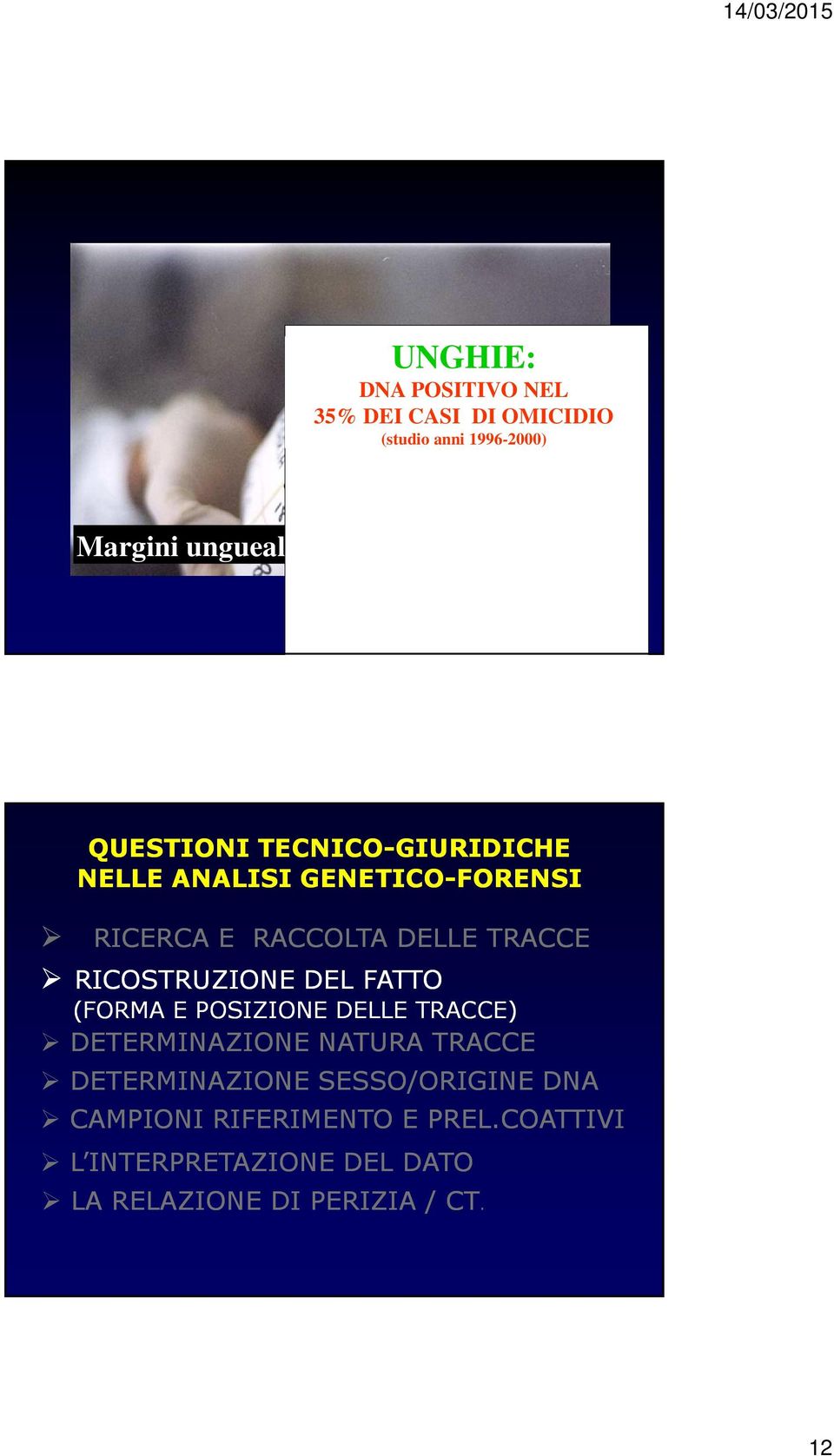 RICOSTRUZIONE DEL FATTO (FORMA E POSIZIONE DELLE TRACCE) DETERMINAZIONE NATURA TRACCE