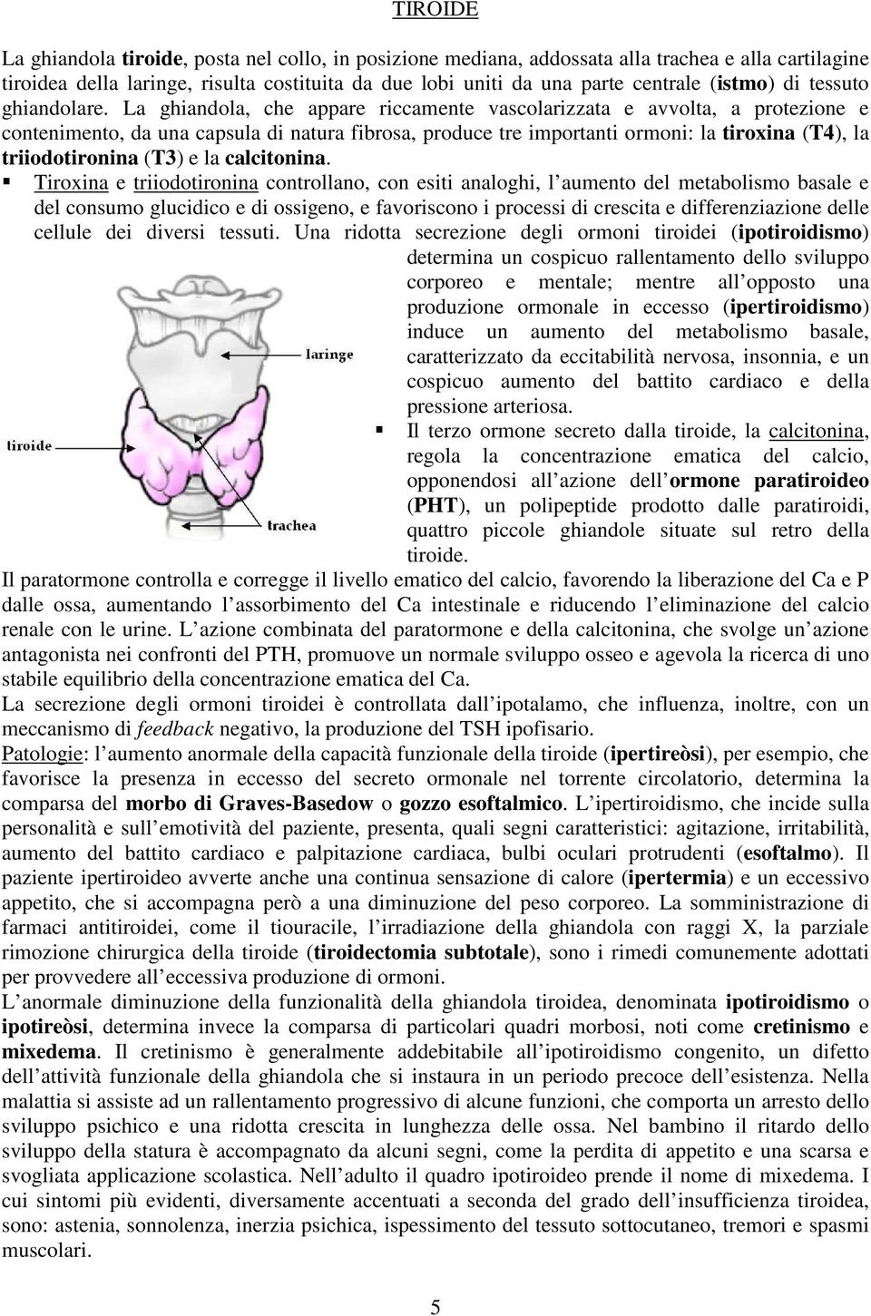 La ghiandola, che appare riccamente vascolarizzata e avvolta, a protezione e contenimento, da una capsula di natura fibrosa, produce tre importanti ormoni: la tiroxina (T4), la triiodotironina (T3) e