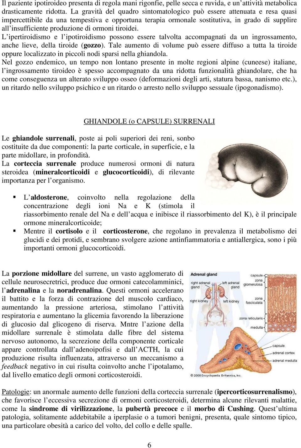 ormoni tiroidei. L ipertiroidismo e l ipotiroidismo possono essere talvolta accompagnati da un ingrossamento, anche lieve, della tiroide (gozzo).