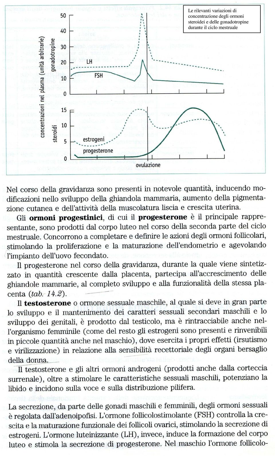 steroidei e delle