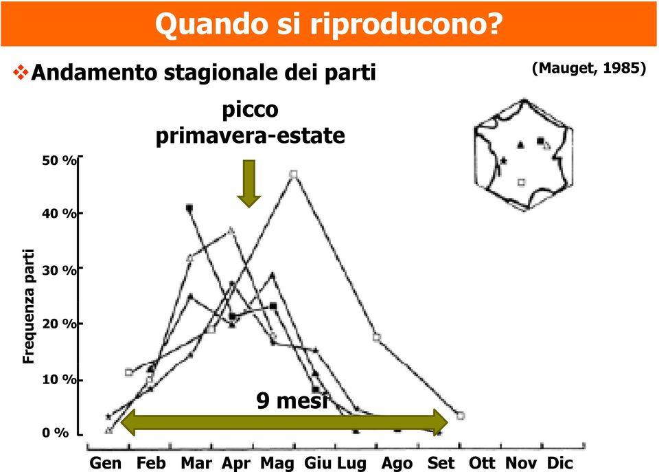 primavera-estate 50 % (Mauget, 1985) 40 %