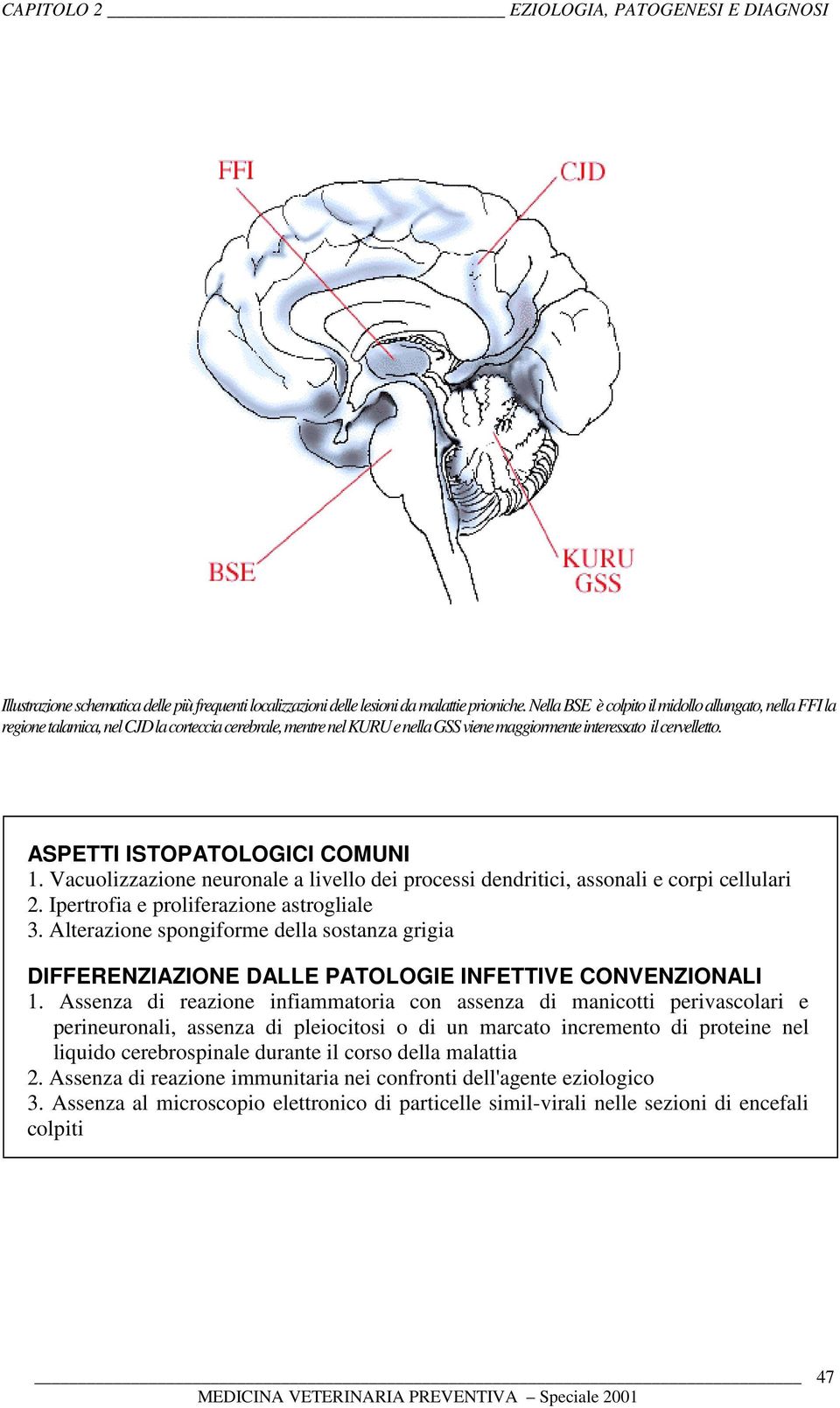 ASPETTI ISTOPATOLOGICI COMUNI 1. Vacuolizzazione neuronale a livello dei processi dendritici, assonali e corpi cellulari 2. Ipertrofia e proliferazione astrogliale 3.