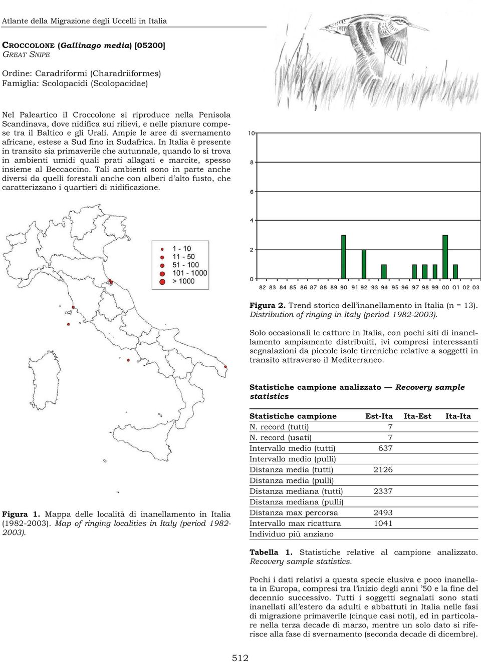 In Italia è presente in transito sia primaverile che autunnale, quando lo si trova in ambienti umidi quali prati allagati e marcite, spesso insieme al Beccaccino.