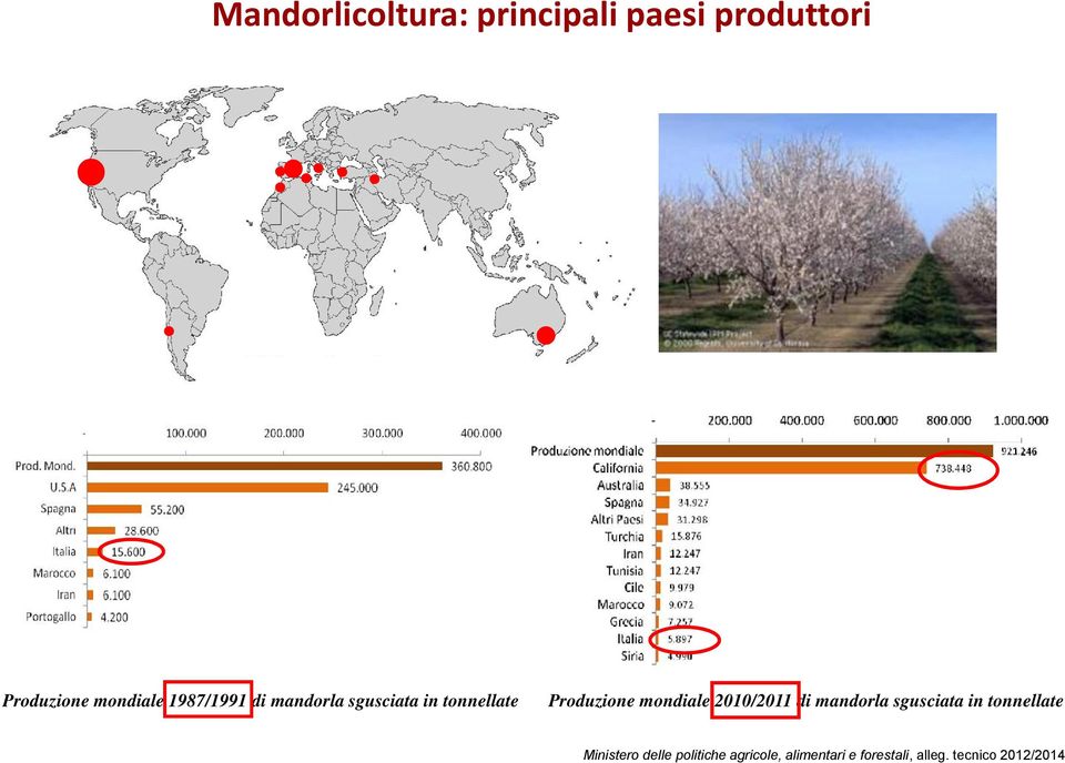 2010/2011 di mandorla sgusciata in tonnellate Ministero delle