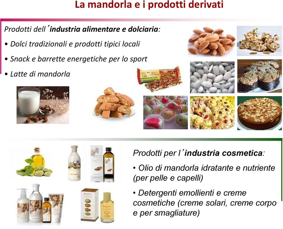 mandorla Prodotti per l industria cosmetica: Olio di mandorla idratante e nutriente (per