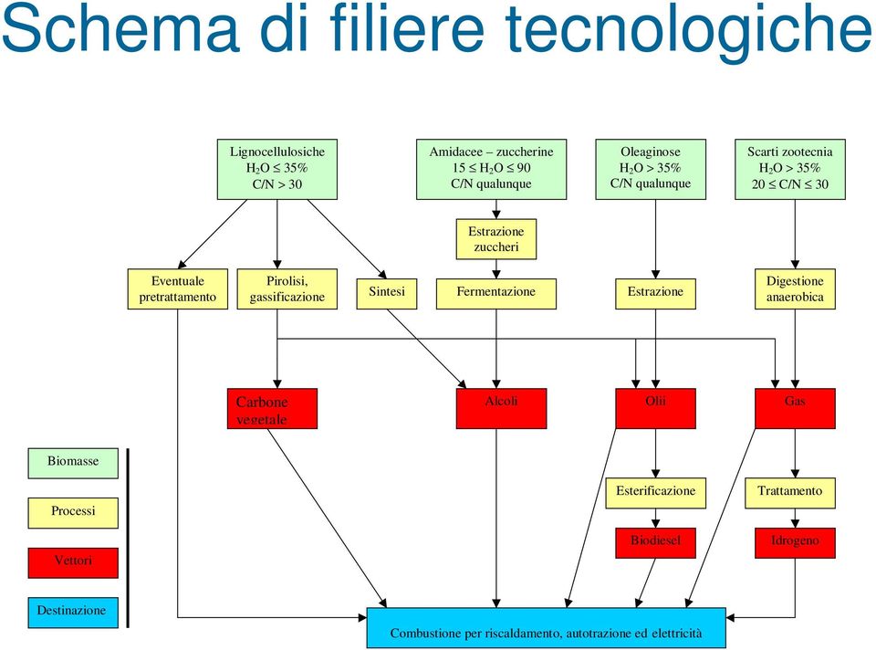 Pirolisi, gassificazione Sintesi Fermentazione Estrazione Digestione anaerobica Carbone vegetale Alcoli Olii Gas Biomasse