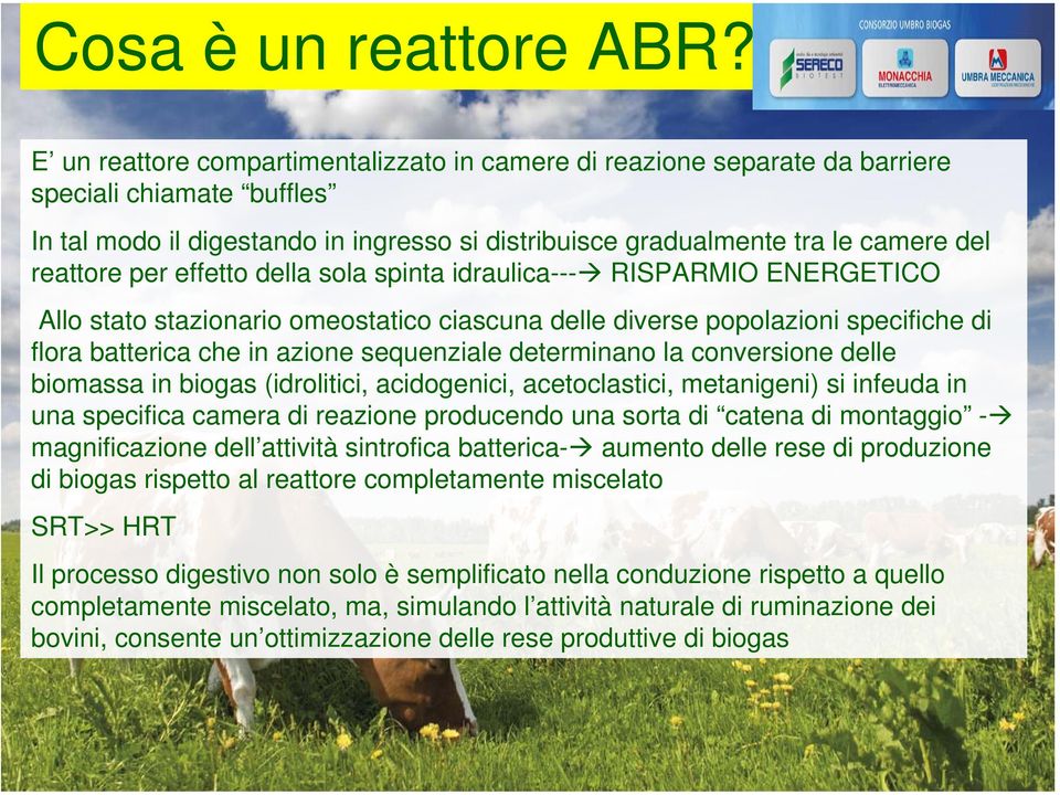 per effetto della sola spinta idraulica--- RISPARMIO ENERGETICO Allo stato stazionario omeostatico ciascuna delle diverse popolazioni specifiche di flora batterica che in azione sequenziale