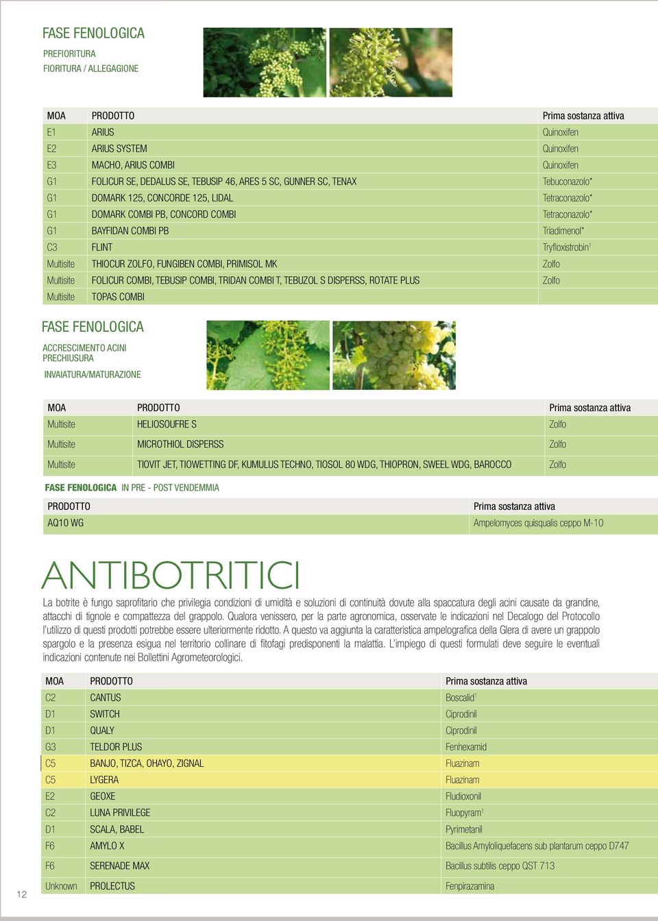 Tryfloxistrobin 1 Multisite THIOCUR ZOLFO, FUNGIBEN COMBI, PRIMISOL MK Zolfo Multisite FOLICUR COMBI, TEBUSIP COMBI, TRIDAN COMBI T, TEBUZOL S DISPERSS, ROTATE PLUS Zolfo Multisite TOPAS COMBI FASE