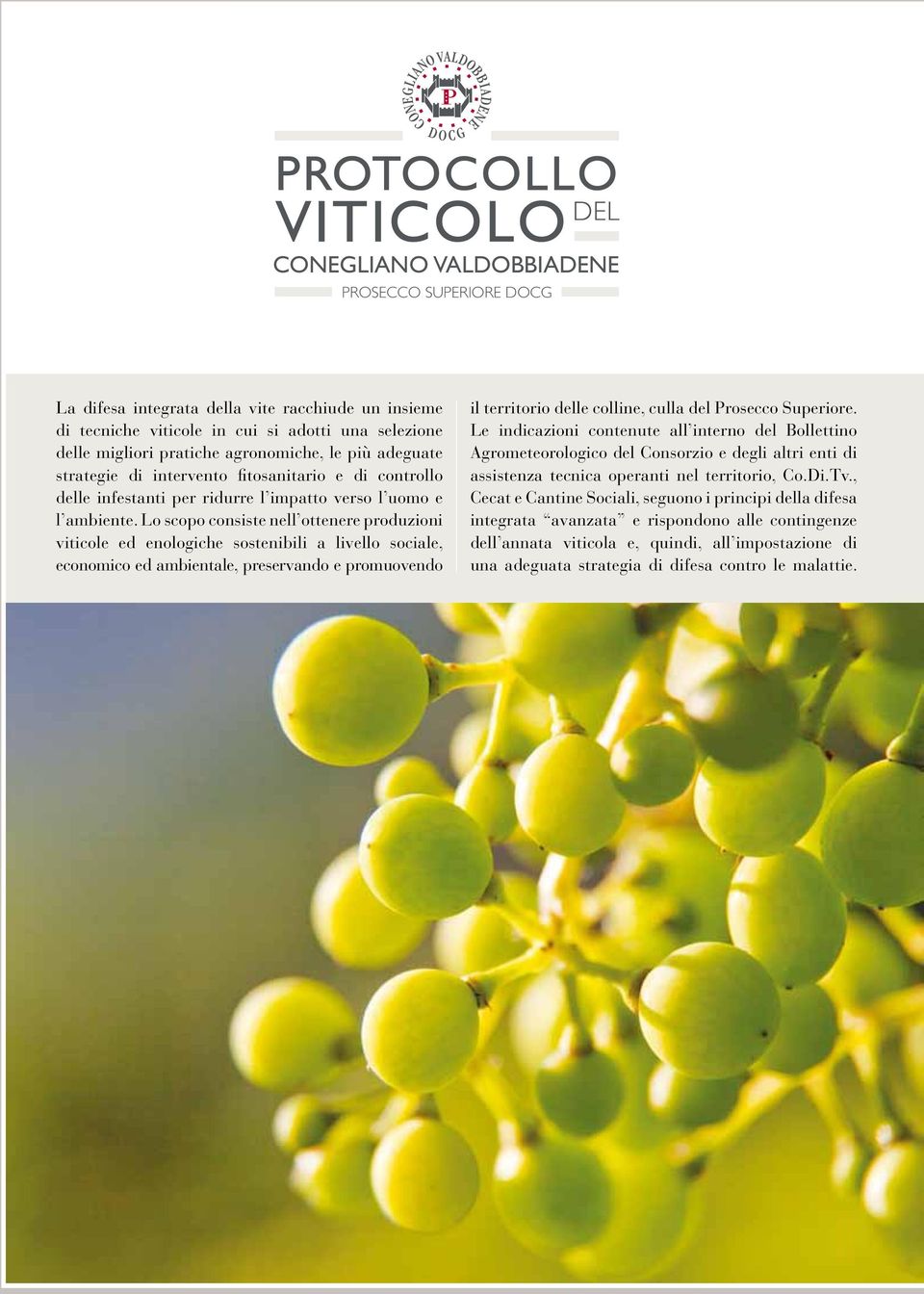 Lo scopo consiste nell ottenere produzioni viticole ed enologiche sostenibili a livello sociale, economico ed ambientale, preservando e promuovendo il territorio delle colline, culla del Prosecco