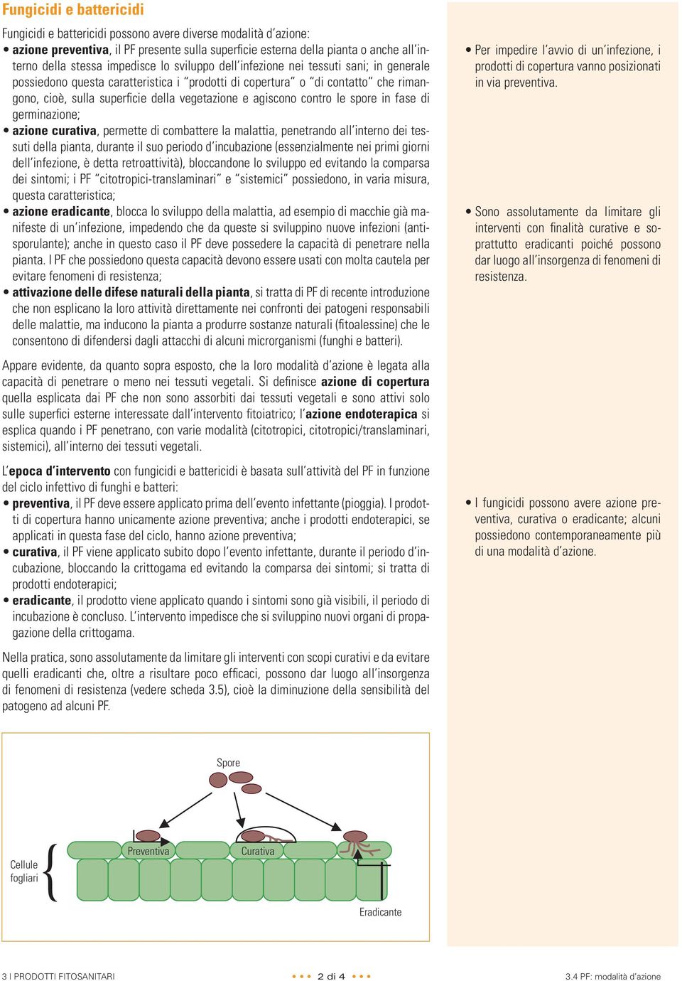 agiscono contro le spore in fase di germinazione; azione curativa, permette di combattere la malattia, penetrando all interno dei tessuti della pianta, durante il suo periodo d incubazione