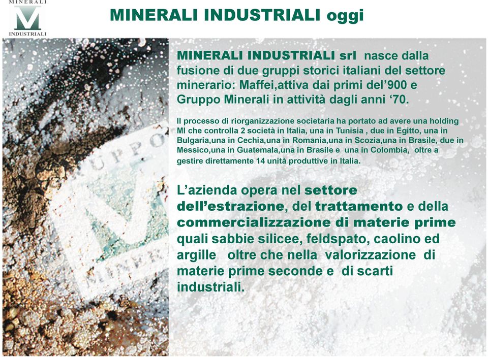 Il processo di riorganizzazione societaria ha portato ad avere una holding MI che controlla 2 società in Italia, una in Tunisia, due in Egitto, una in Bulgaria,una in Cechia,una in Romania,una in