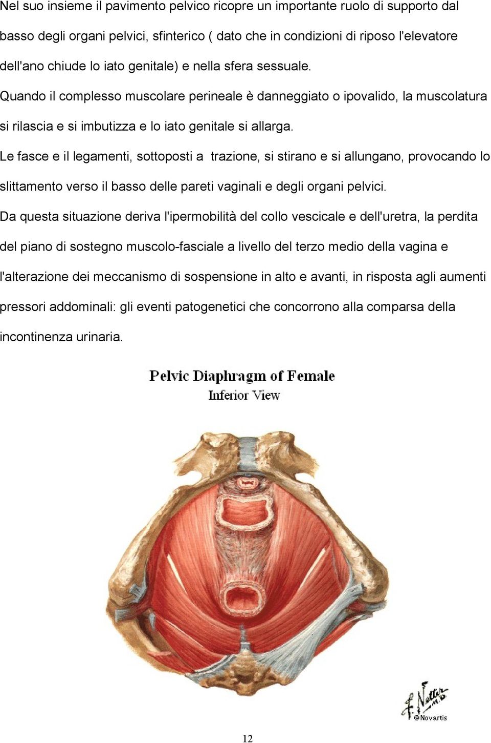 Le fasce e il legamenti, sottoposti a trazione, si stirano e si allungano, provocando lo slittamento verso il basso delle pareti vaginali e degli organi pelvici.