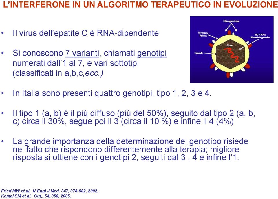 Il tipo 1 (a, b) è il più diffuso (più del 50%), seguito dal tipo 2 (a, b, c) circa il 30%, segue poi il 3 (circa il 10 %) e infine il 4 (4%) La grande