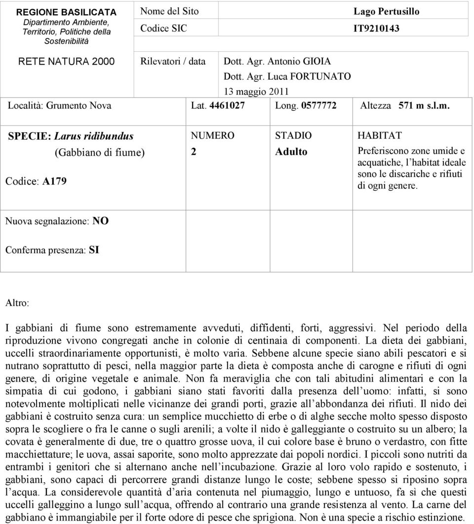 La dieta dei gabbiani, uccelli straordinariamente opportunisti, è molto varia.