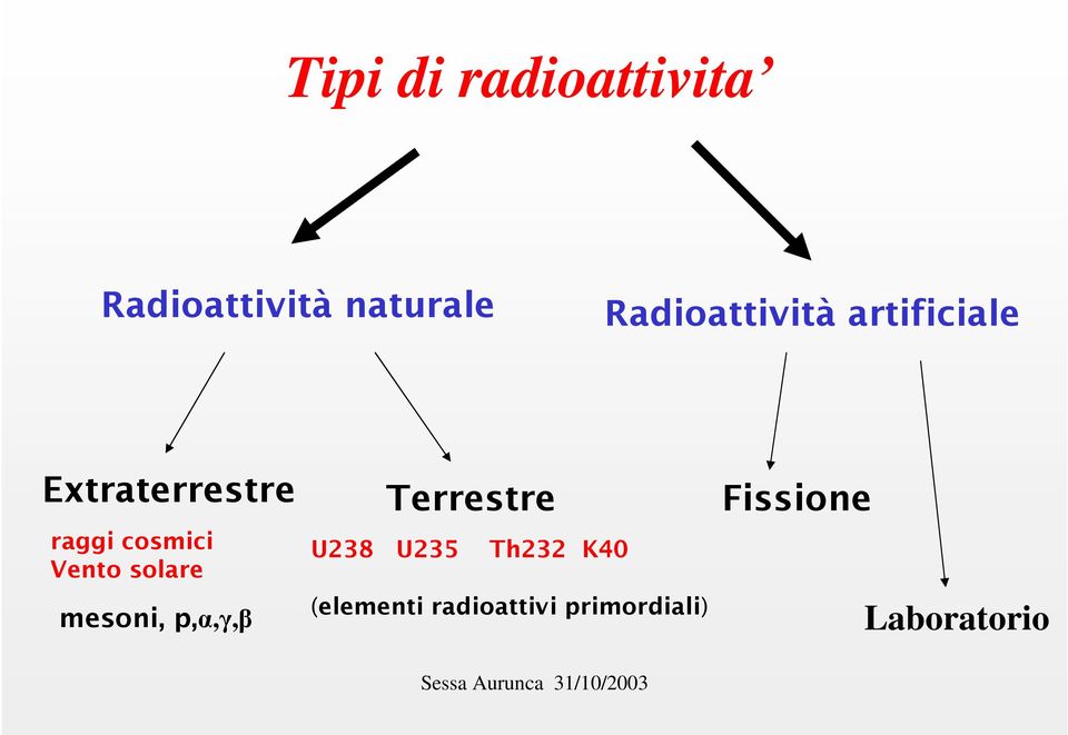 cosmici Vento solare mesoni, p,α,γ,β Terrestre U238