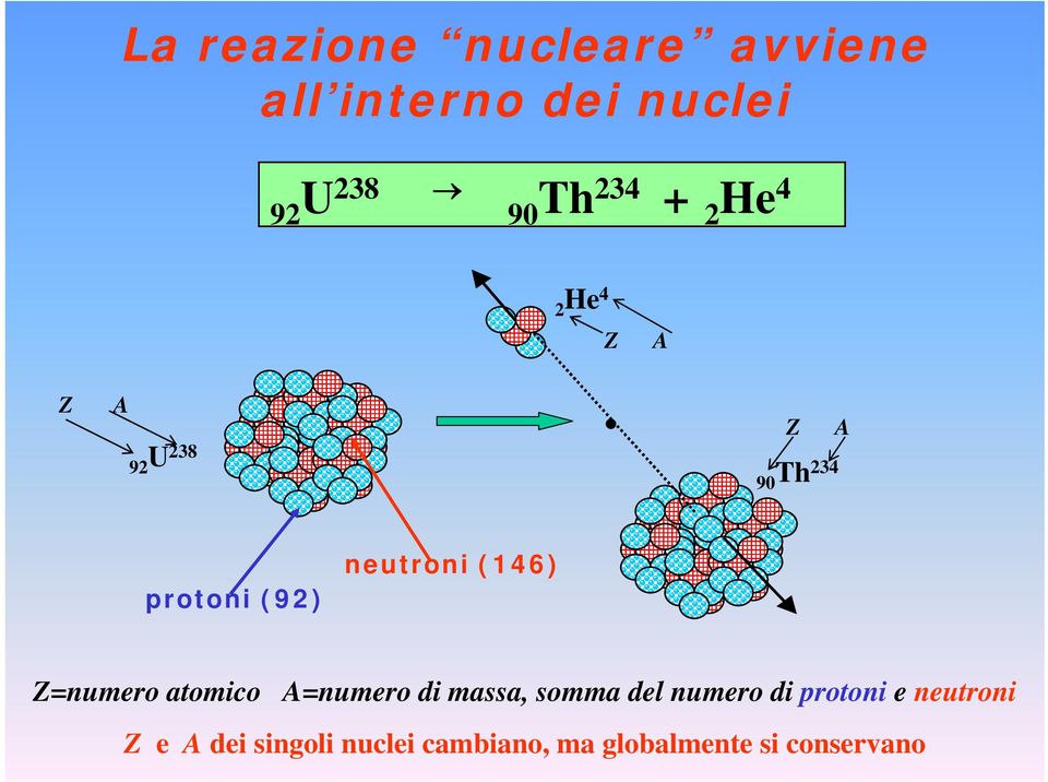 (146) Z=numero atomico A=numero di massa, somma del numero di protoni