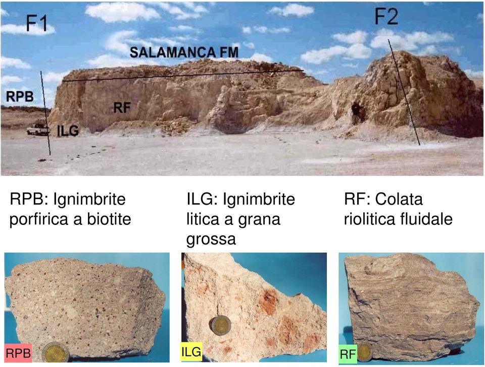 litica a grana grossa RF: