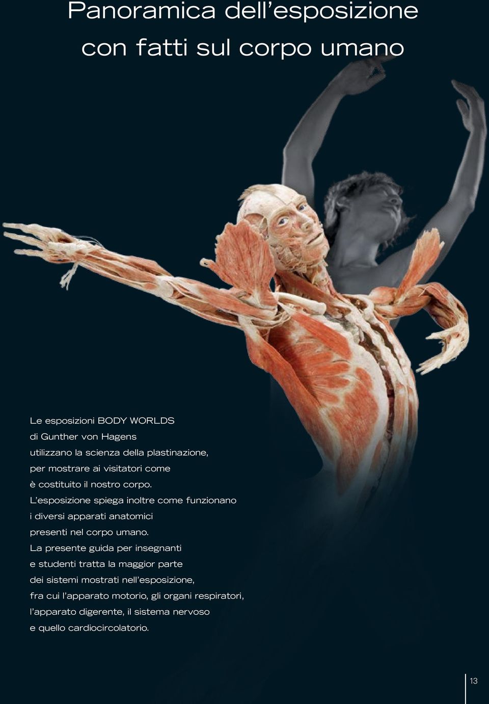 L esposizione spiega inoltre come funzionano i diversi apparati anatomici presenti nel corpo umano.