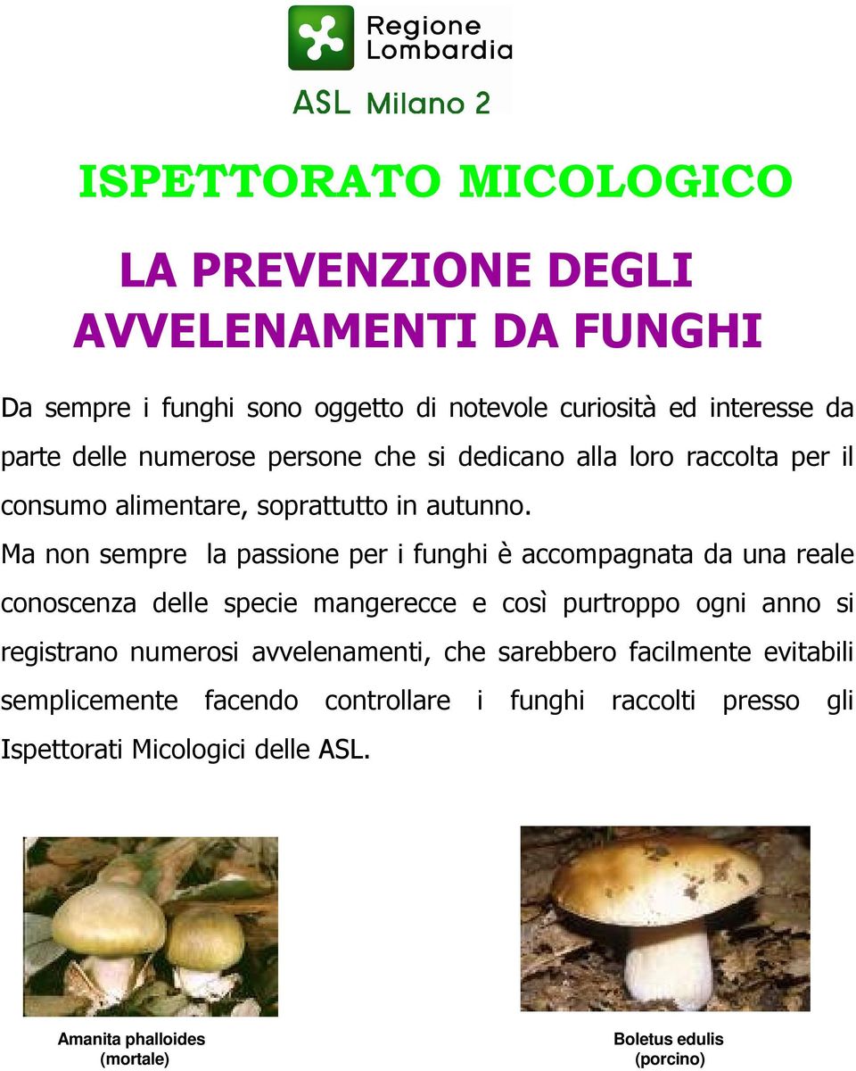 Ma non sempre la passione per i funghi è accompagnata da una reale conoscenza delle specie mangerecce e così purtroppo ogni anno si registrano numerosi