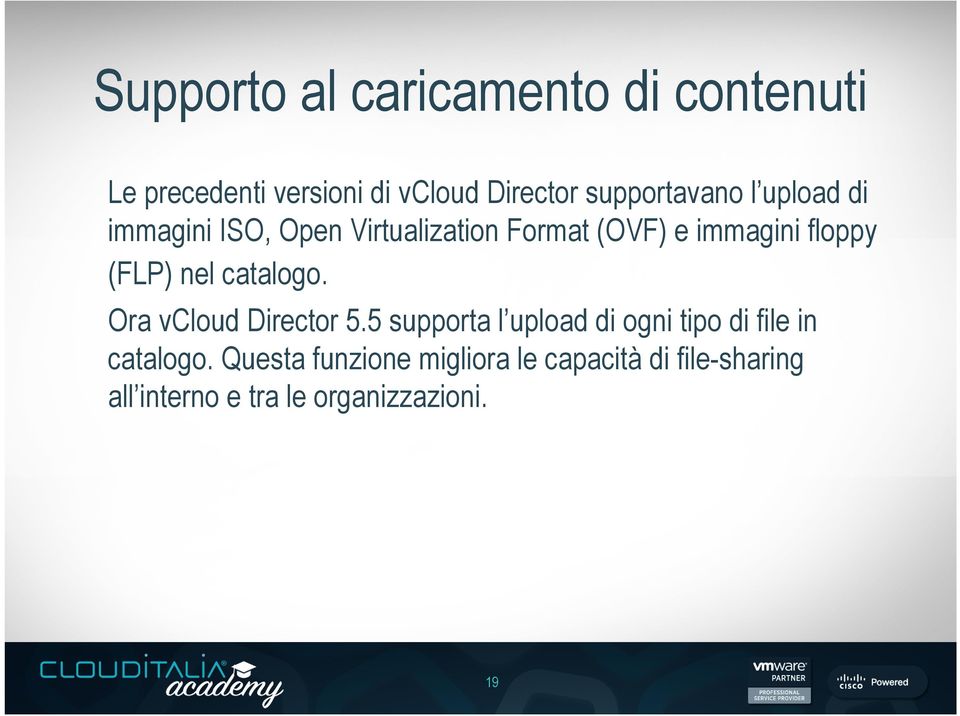 (FLP) nel catalogo. Ora vcloud Director 5.