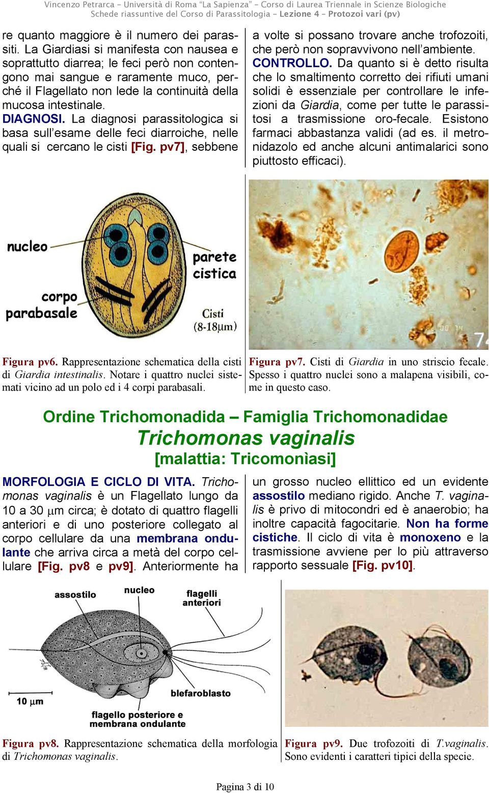 La diagnosi parassitologica si basa sull esame delle feci diarroiche, nelle quali si cercano le cisti [Fig.