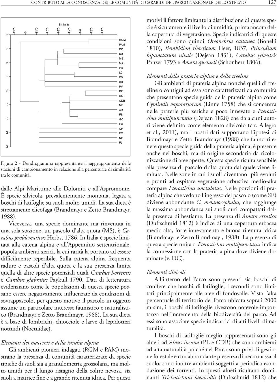 Viceversa, una specie dominante ma rinvenuta in una sola stazione, un pascolo d alta quota (MS), è Carabus problematicus Herbst 1786.