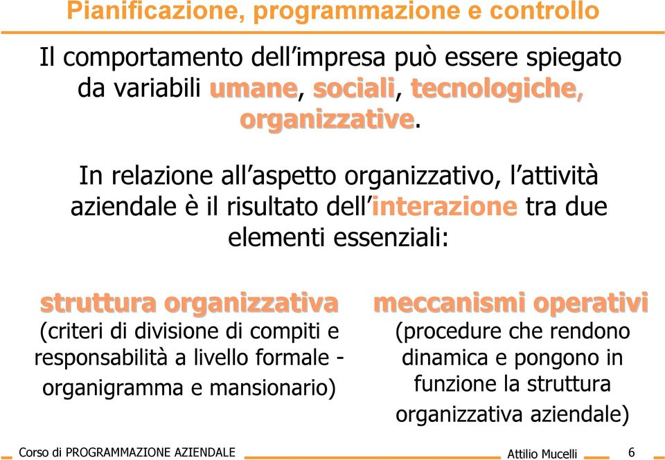 In relazione all aspetto organizzativo, l attività aziendale è il risultato dell interazione tra due elementi essenziali: struttura