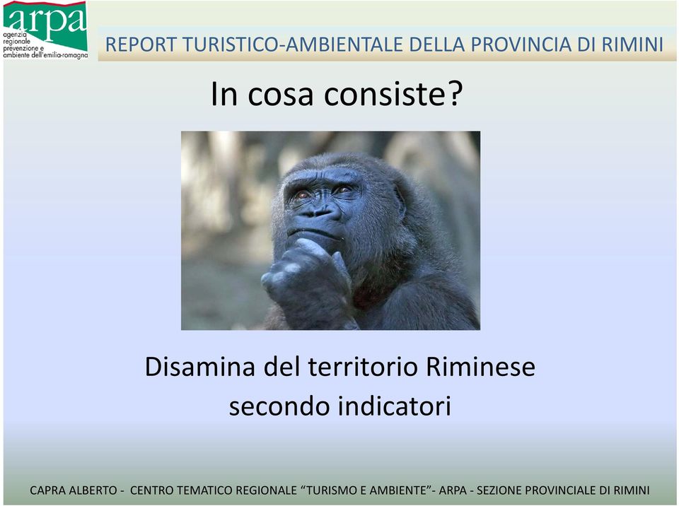 cosa consiste?