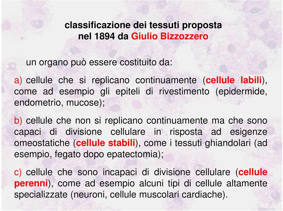 divisione cellulare in risposta ad esigenze omeostatiche (cellule stabili), come i tessuti ghiandolari (ad esempio, fegato dopo epatectomia); c) cellule