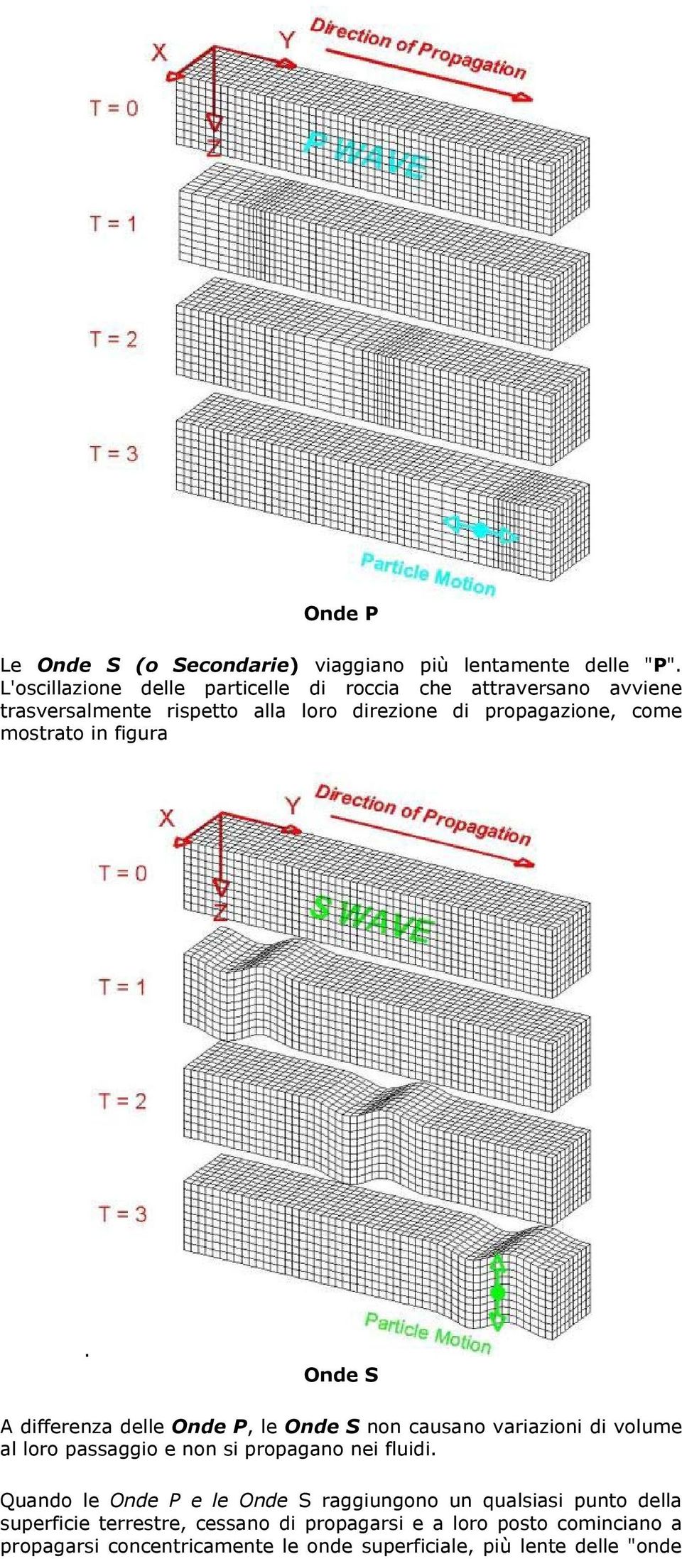 mostrato in figura.