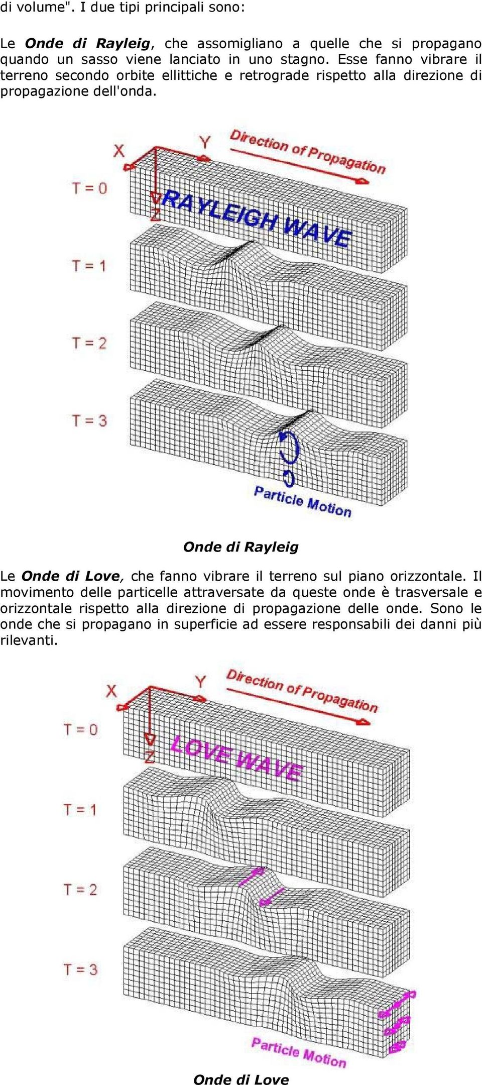 Onde di Rayleig Le Onde di Love, che fanno vibrare il terreno sul piano orizzontale.