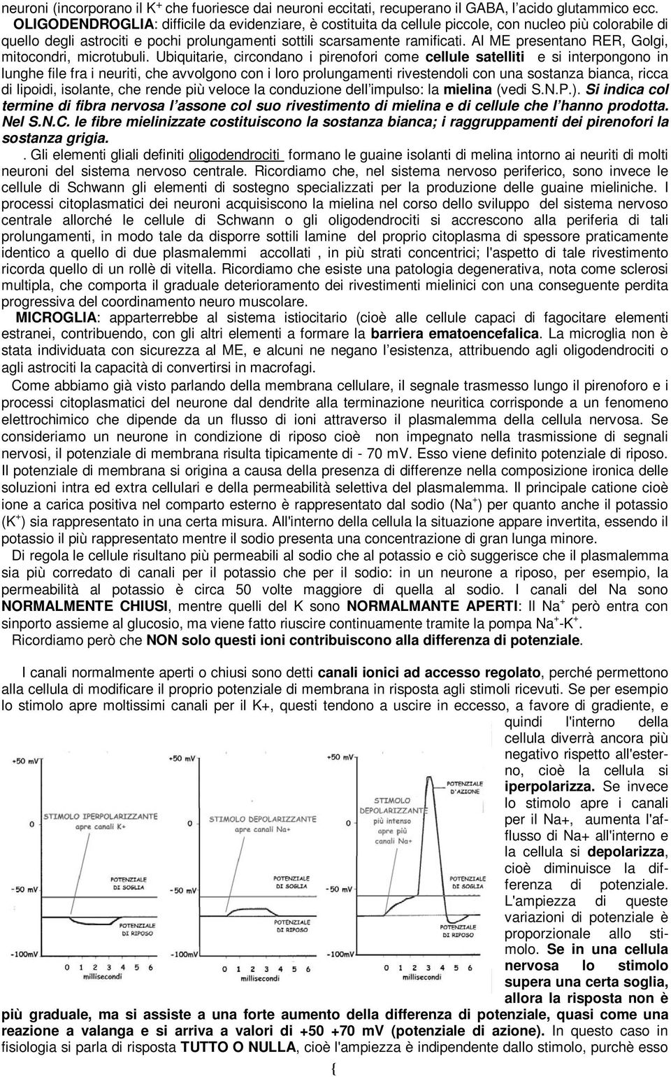 Al ME presentano RER, Golgi, mitocondri, microtubuli.