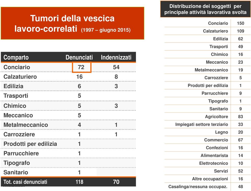 casi denunciati 118 70 Tonina Iaia Distribuzione dei soggetti per principale attività lavorativa svolta Conciario 150 Calzaturiero 109 Edilizia 62 Trasporti 49 Chimico 16 Meccanico 23