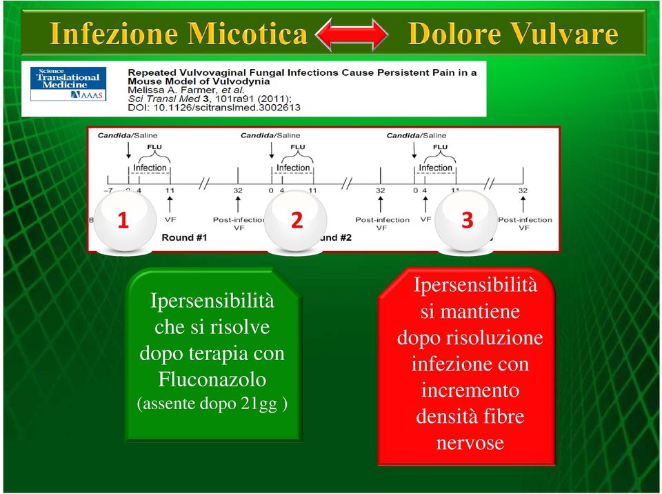 Ipersensibilità si mantiene dopo risoluzione