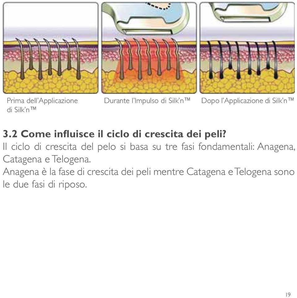 Il ciclo di crescita del pelo si basa su tre fasi fondamentali: Anagena, Catagena