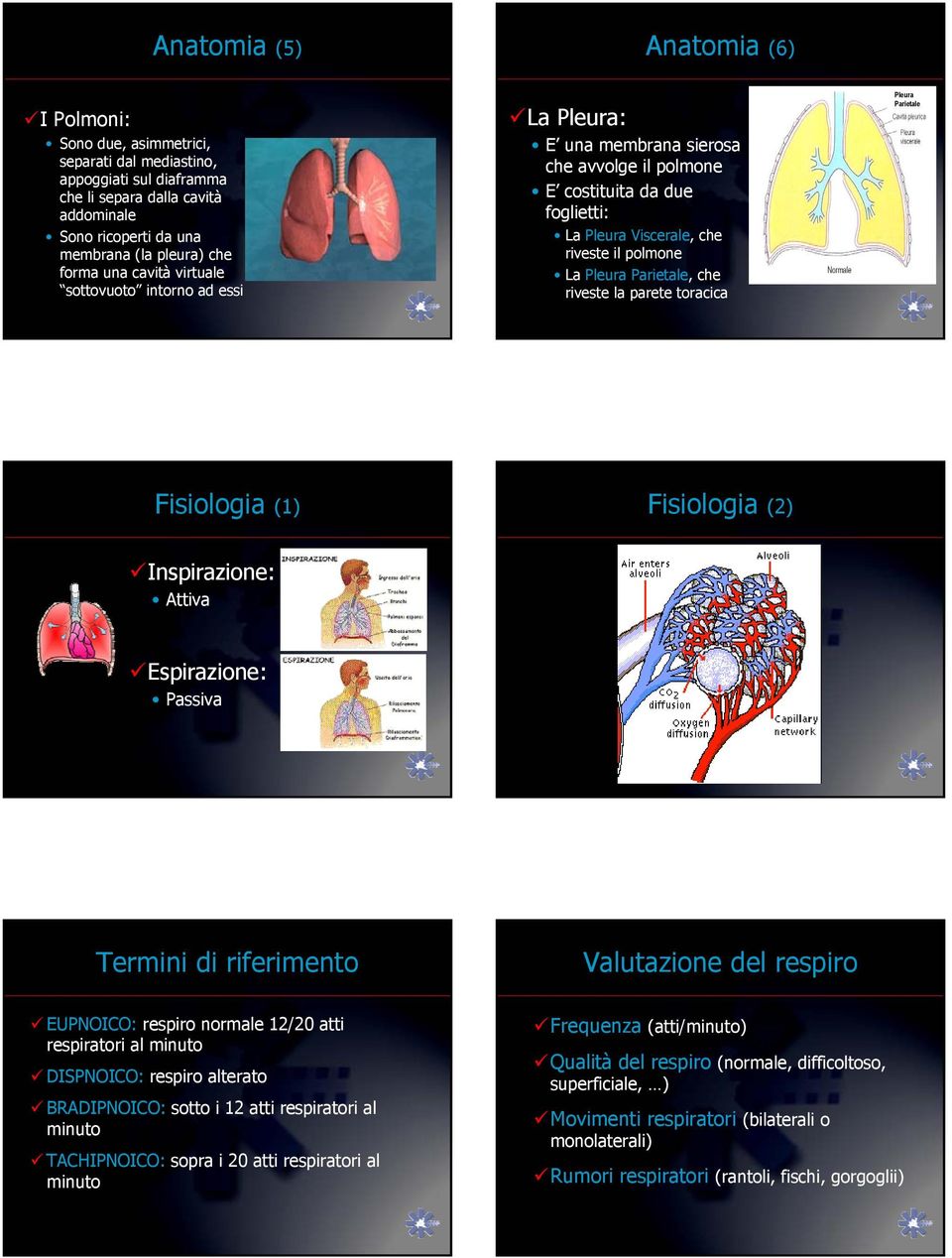 Parietale, che riveste la parete toracica Pleura Parietale Fisiologia (1) Fisiologia (2) Inspirazione: Attiva Espirazione: Passiva Termini di riferimento Valutazione del respiro EUPNOICO: respiro